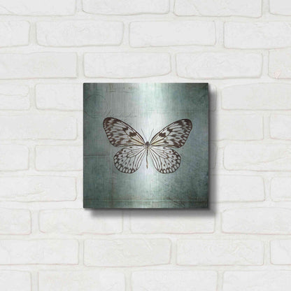 Luxe Metal Art 'French Butterfly V' by Debra Van Swearingen, Metal Wall Art,12x12