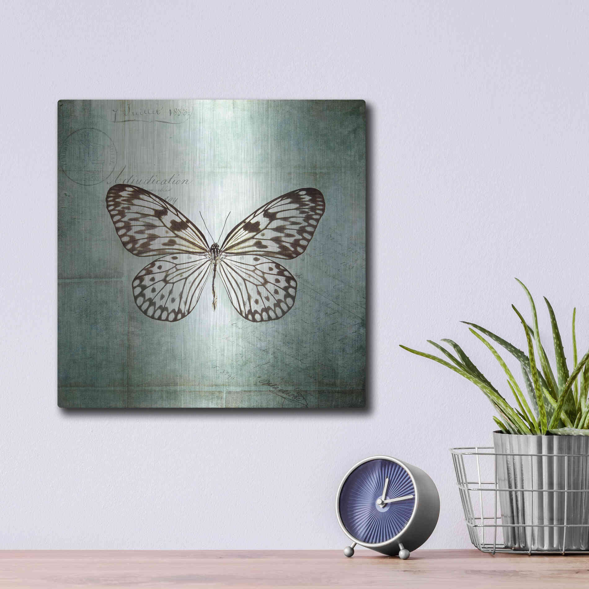 Luxe Metal Art 'French Butterfly V' by Debra Van Swearingen, Metal Wall Art,12x12