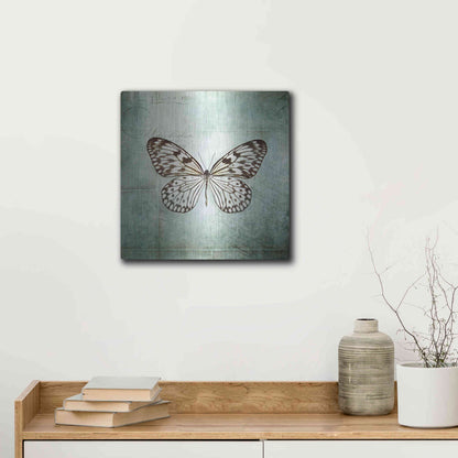 Luxe Metal Art 'French Butterfly V' by Debra Van Swearingen, Metal Wall Art,12x12