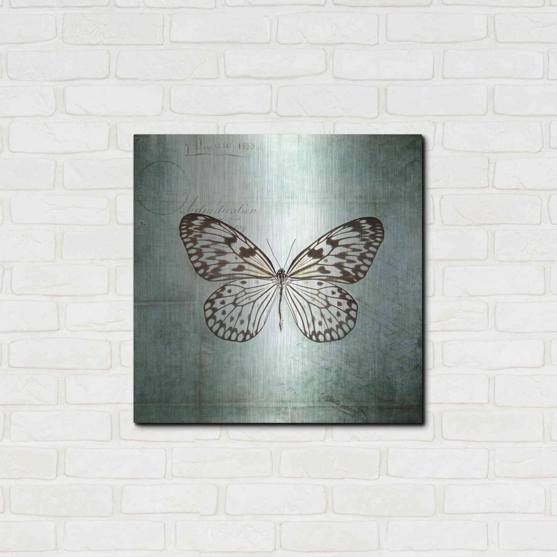 Luxe Metal Art 'French Butterfly V' by Debra Van Swearingen, Metal Wall Art,24x24