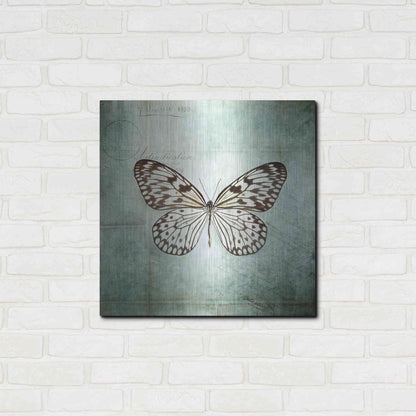 Luxe Metal Art 'French Butterfly V' by Debra Van Swearingen, Metal Wall Art,24x24