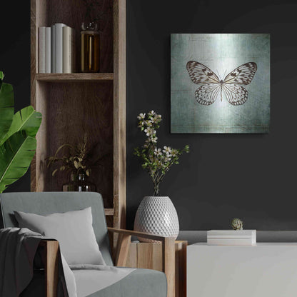 Luxe Metal Art 'French Butterfly V' by Debra Van Swearingen, Metal Wall Art,24x24