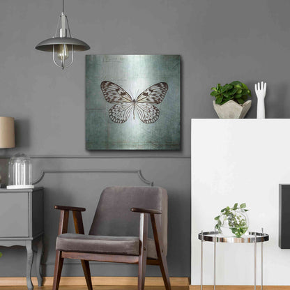 Luxe Metal Art 'French Butterfly V' by Debra Van Swearingen, Metal Wall Art,24x24