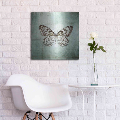Luxe Metal Art 'French Butterfly V' by Debra Van Swearingen, Metal Wall Art,24x24