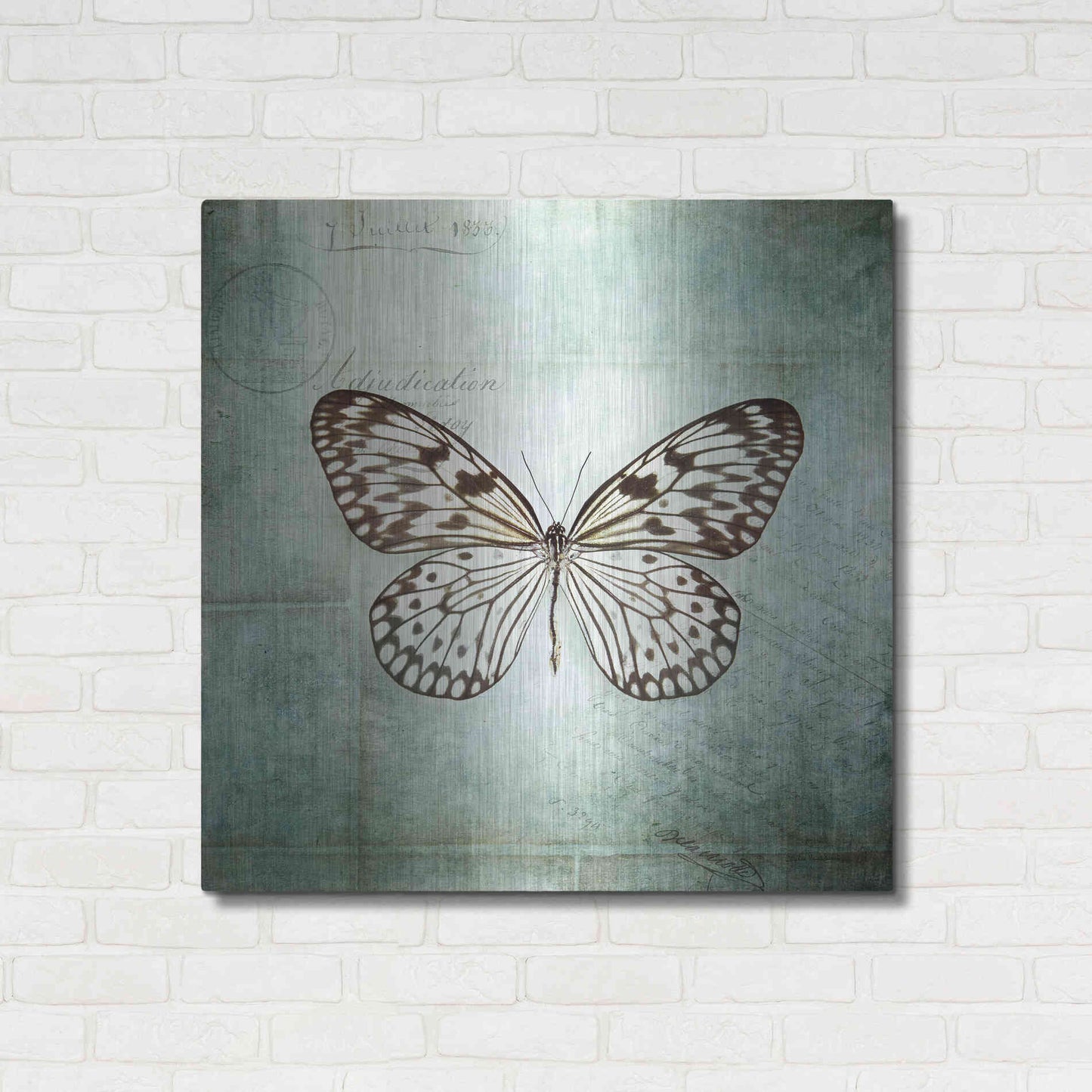 Luxe Metal Art 'French Butterfly V' by Debra Van Swearingen, Metal Wall Art,36x36