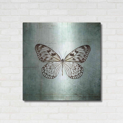 Luxe Metal Art 'French Butterfly V' by Debra Van Swearingen, Metal Wall Art,36x36