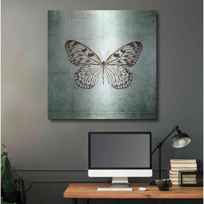 Luxe Metal Art 'French Butterfly V' by Debra Van Swearingen, Metal Wall Art,36x36