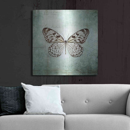 Luxe Metal Art 'French Butterfly V' by Debra Van Swearingen, Metal Wall Art,36x36