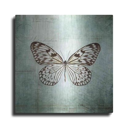 Luxe Metal Art 'French Butterfly V' by Debra Van Swearingen, Metal Wall Art