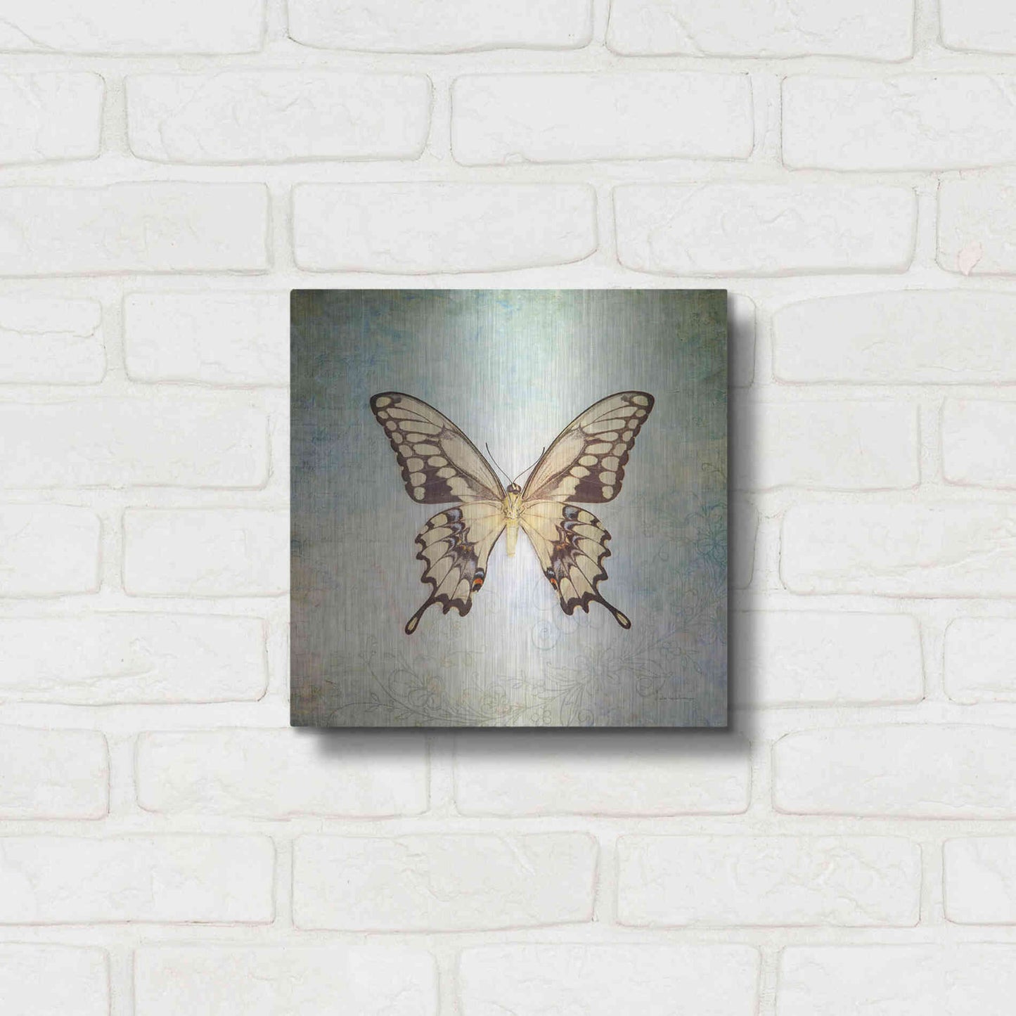 Luxe Metal Art 'French Butterfly VI' by Debra Van Swearingen, Metal Wall Art,12x12
