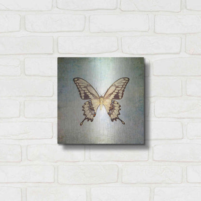 Luxe Metal Art 'French Butterfly VI' by Debra Van Swearingen, Metal Wall Art,12x12