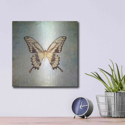 Luxe Metal Art 'French Butterfly VI' by Debra Van Swearingen, Metal Wall Art,12x12