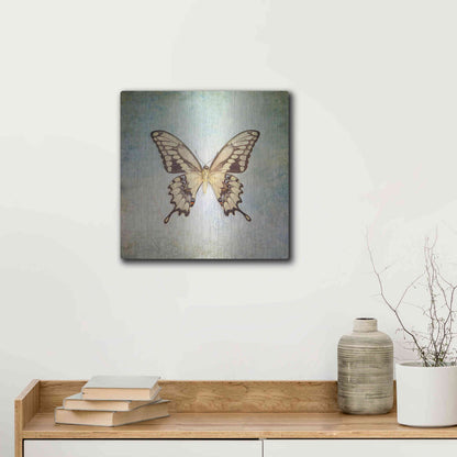 Luxe Metal Art 'French Butterfly VI' by Debra Van Swearingen, Metal Wall Art,12x12