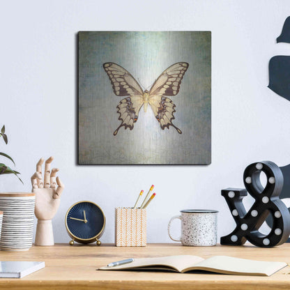 Luxe Metal Art 'French Butterfly VI' by Debra Van Swearingen, Metal Wall Art,12x12