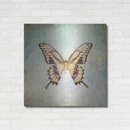 Luxe Metal Art 'French Butterfly VI' by Debra Van Swearingen, Metal Wall Art,36x36