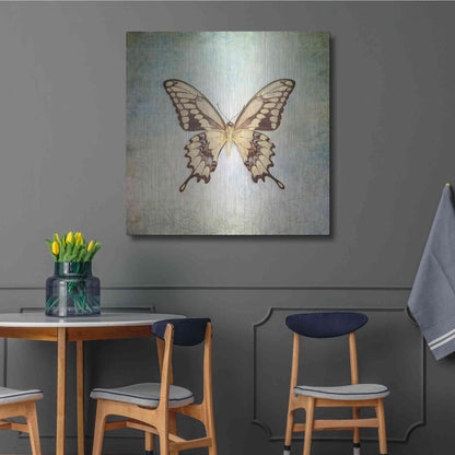 Luxe Metal Art 'French Butterfly VI' by Debra Van Swearingen, Metal Wall Art,36x36
