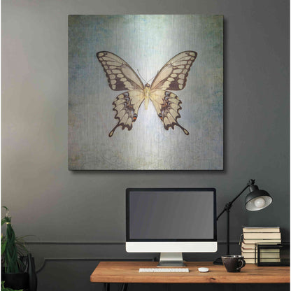Luxe Metal Art 'French Butterfly VI' by Debra Van Swearingen, Metal Wall Art,36x36