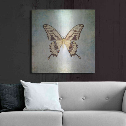 Luxe Metal Art 'French Butterfly VI' by Debra Van Swearingen, Metal Wall Art,36x36