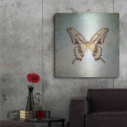 Luxe Metal Art 'French Butterfly VI' by Debra Van Swearingen, Metal Wall Art,36x36