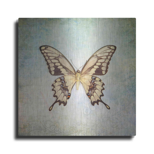 Luxe Metal Art 'French Butterfly VI' by Debra Van Swearingen, Metal Wall Art
