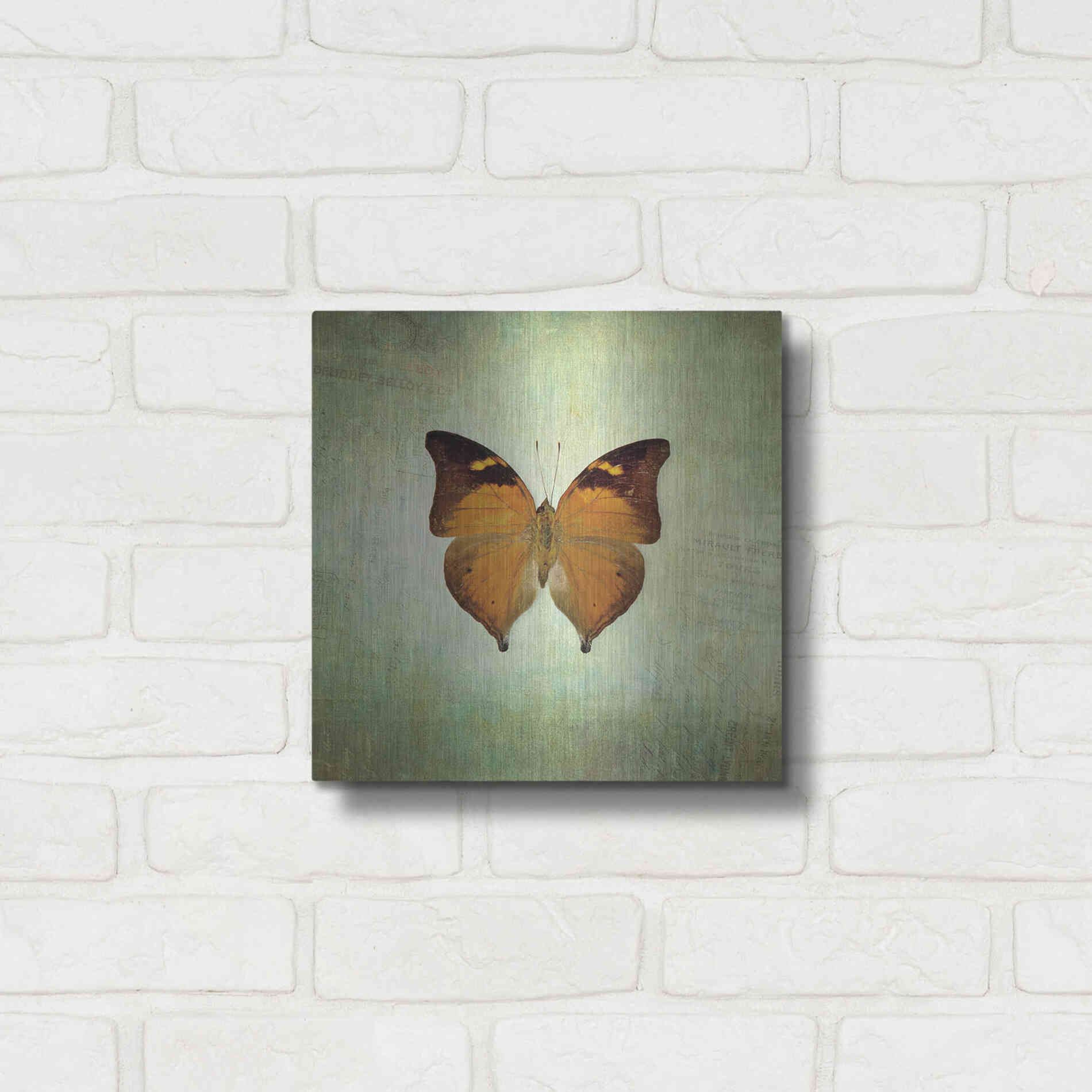Luxe Metal Art 'French Butterfly VII' by Debra Van Swearingen, Metal Wall Art,12x12