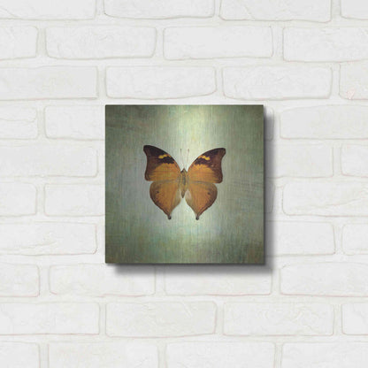 Luxe Metal Art 'French Butterfly VII' by Debra Van Swearingen, Metal Wall Art,12x12