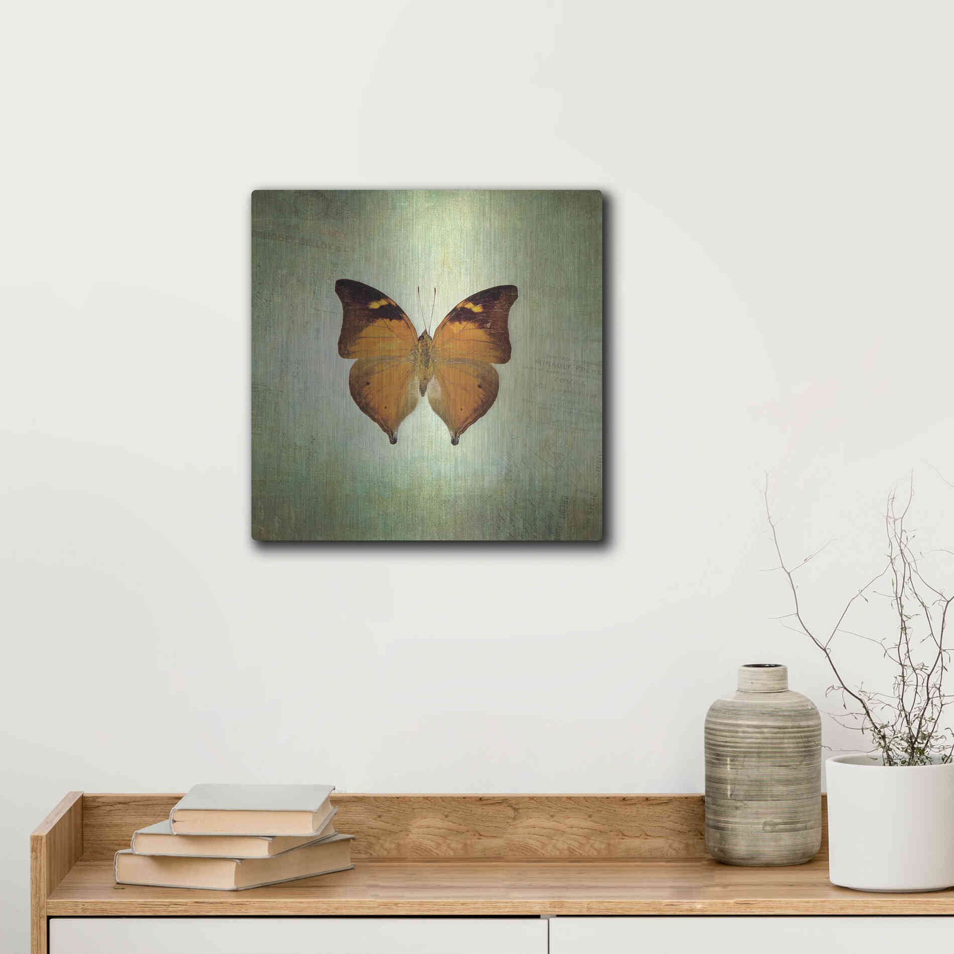 Luxe Metal Art 'French Butterfly VII' by Debra Van Swearingen, Metal Wall Art,12x12