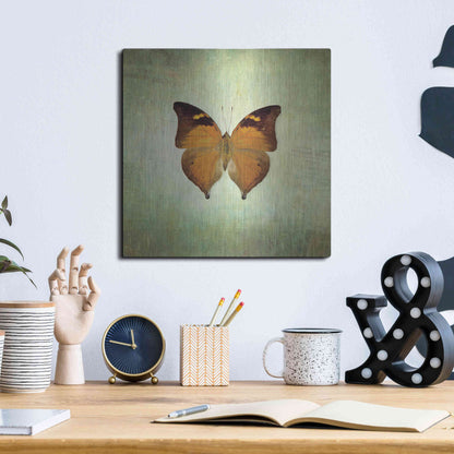Luxe Metal Art 'French Butterfly VII' by Debra Van Swearingen, Metal Wall Art,12x12