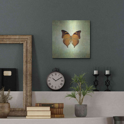 Luxe Metal Art 'French Butterfly VII' by Debra Van Swearingen, Metal Wall Art,12x12