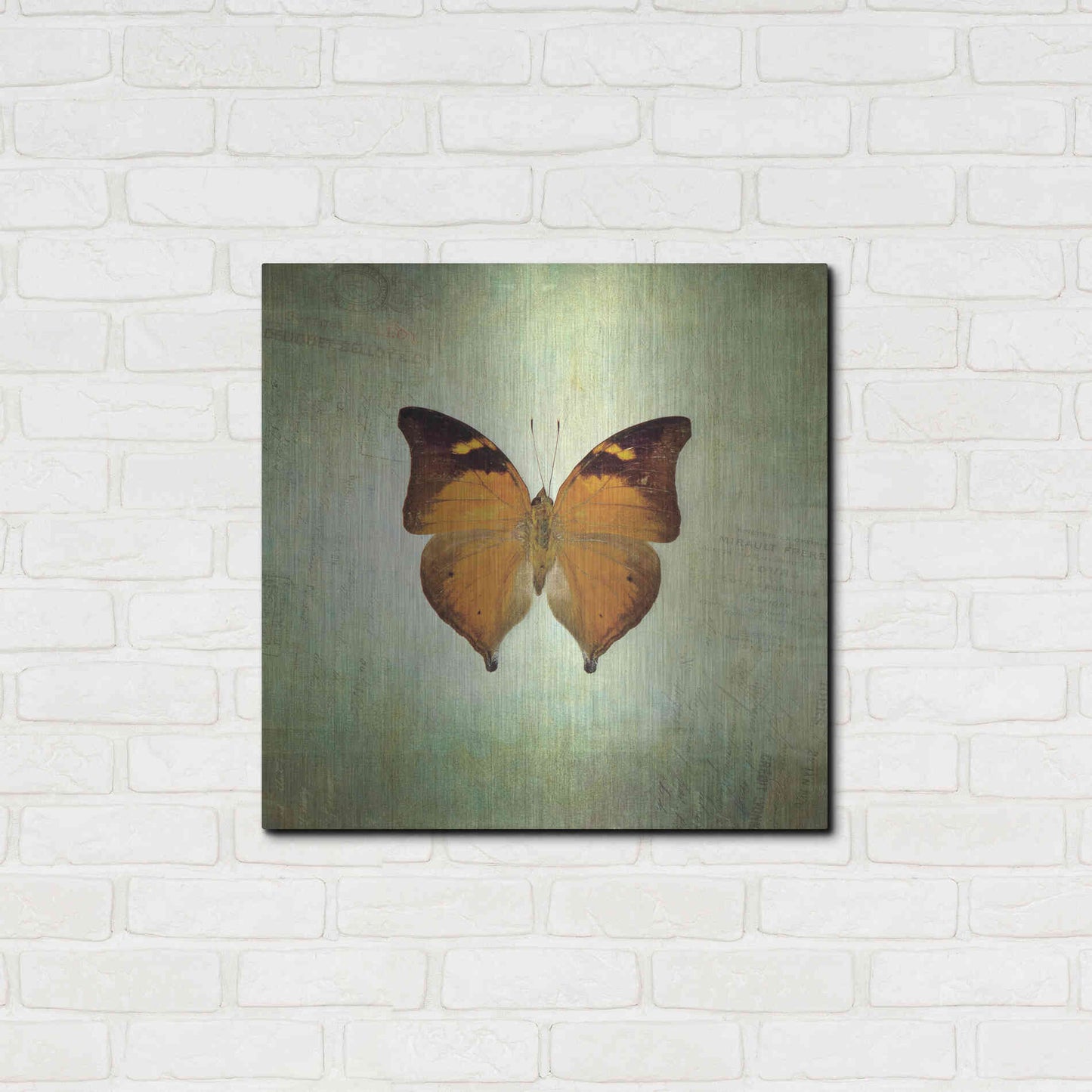 Luxe Metal Art 'French Butterfly VII' by Debra Van Swearingen, Metal Wall Art,24x24
