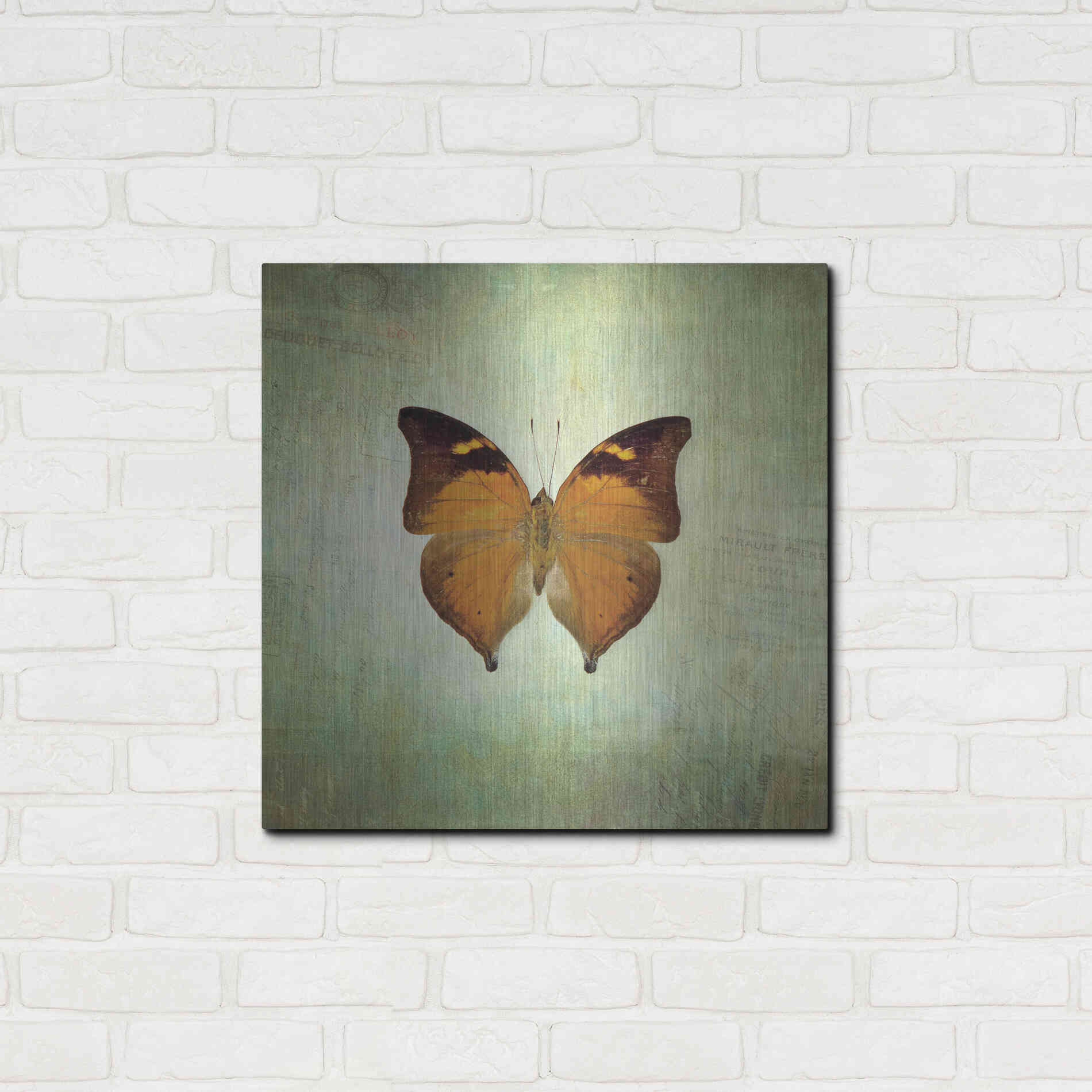 Luxe Metal Art 'French Butterfly VII' by Debra Van Swearingen, Metal Wall Art,24x24