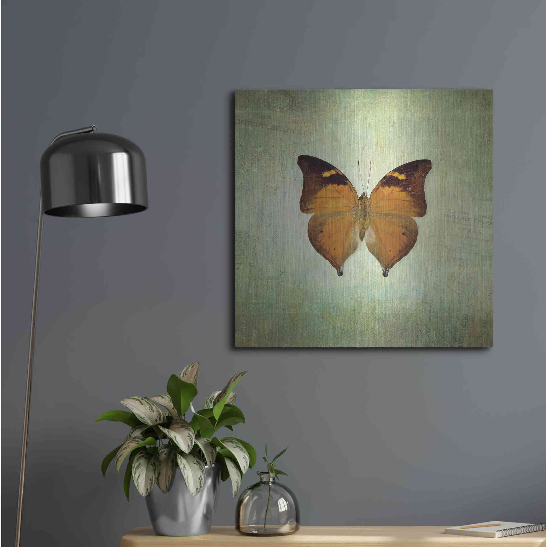 Luxe Metal Art 'French Butterfly VII' by Debra Van Swearingen, Metal Wall Art,24x24