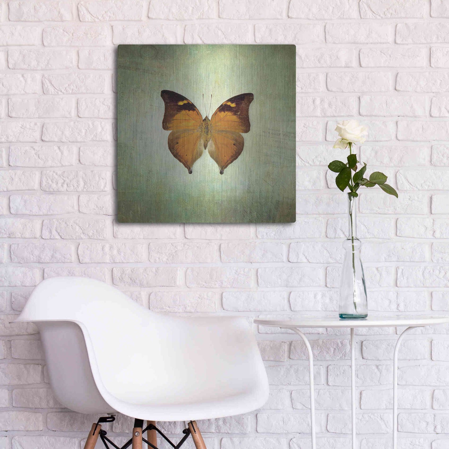 Luxe Metal Art 'French Butterfly VII' by Debra Van Swearingen, Metal Wall Art,24x24