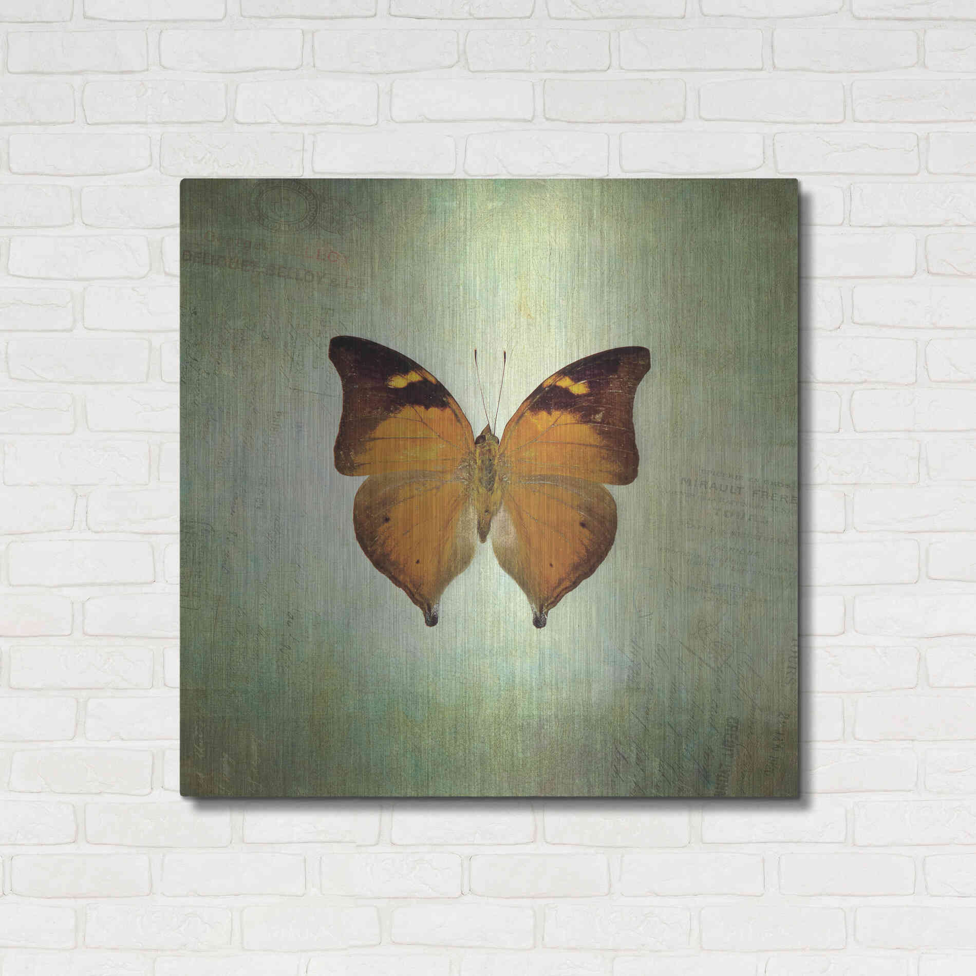 Luxe Metal Art 'French Butterfly VII' by Debra Van Swearingen, Metal Wall Art,36x36