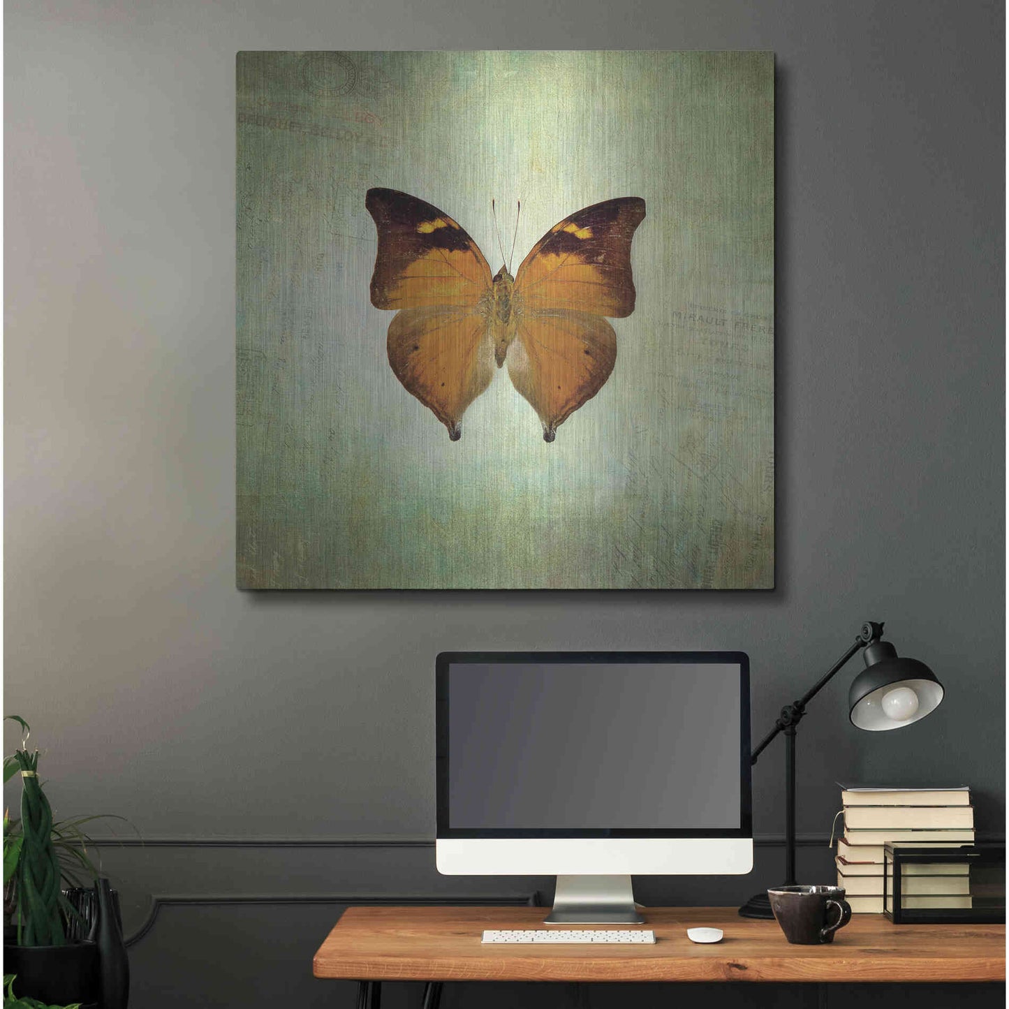 Luxe Metal Art 'French Butterfly VII' by Debra Van Swearingen, Metal Wall Art,36x36