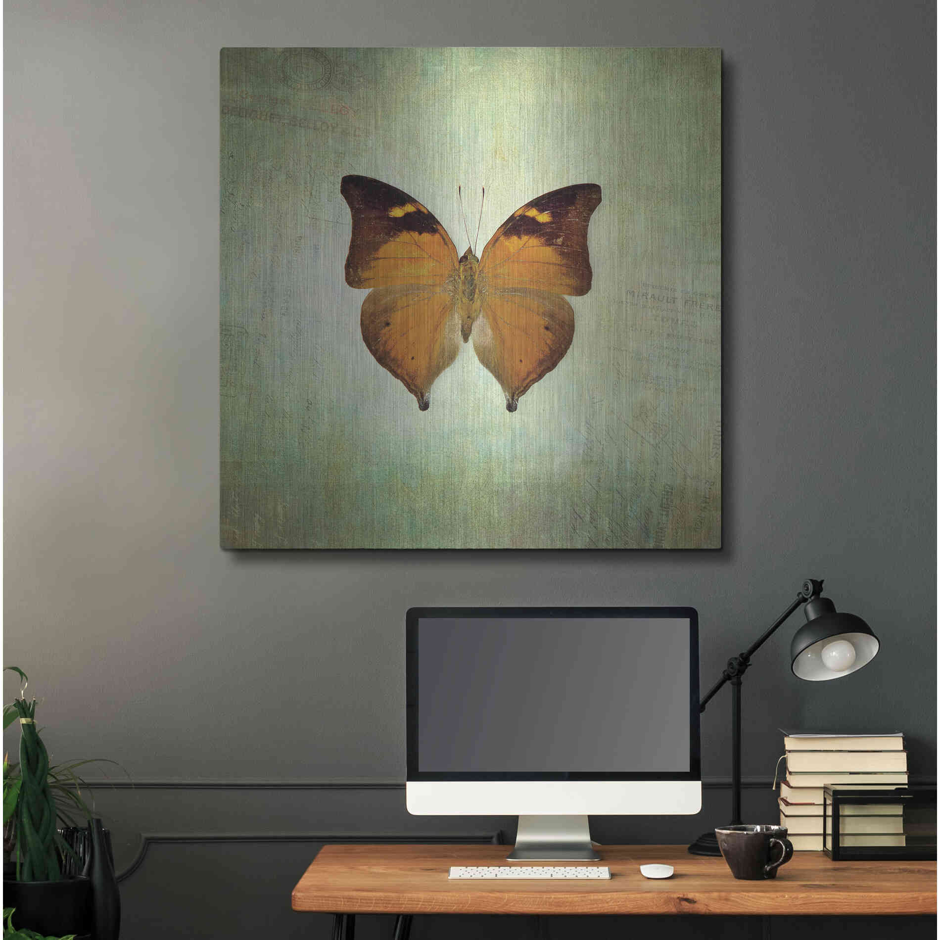 Luxe Metal Art 'French Butterfly VII' by Debra Van Swearingen, Metal Wall Art,36x36
