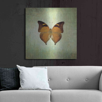 Luxe Metal Art 'French Butterfly VII' by Debra Van Swearingen, Metal Wall Art,36x36