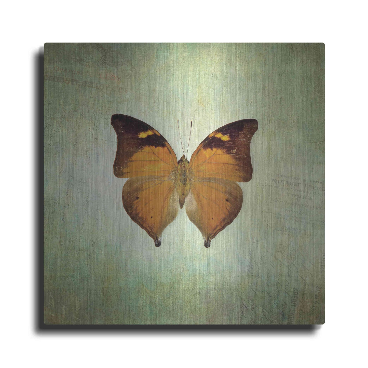 Luxe Metal Art 'French Butterfly VII' by Debra Van Swearingen, Metal Wall Art