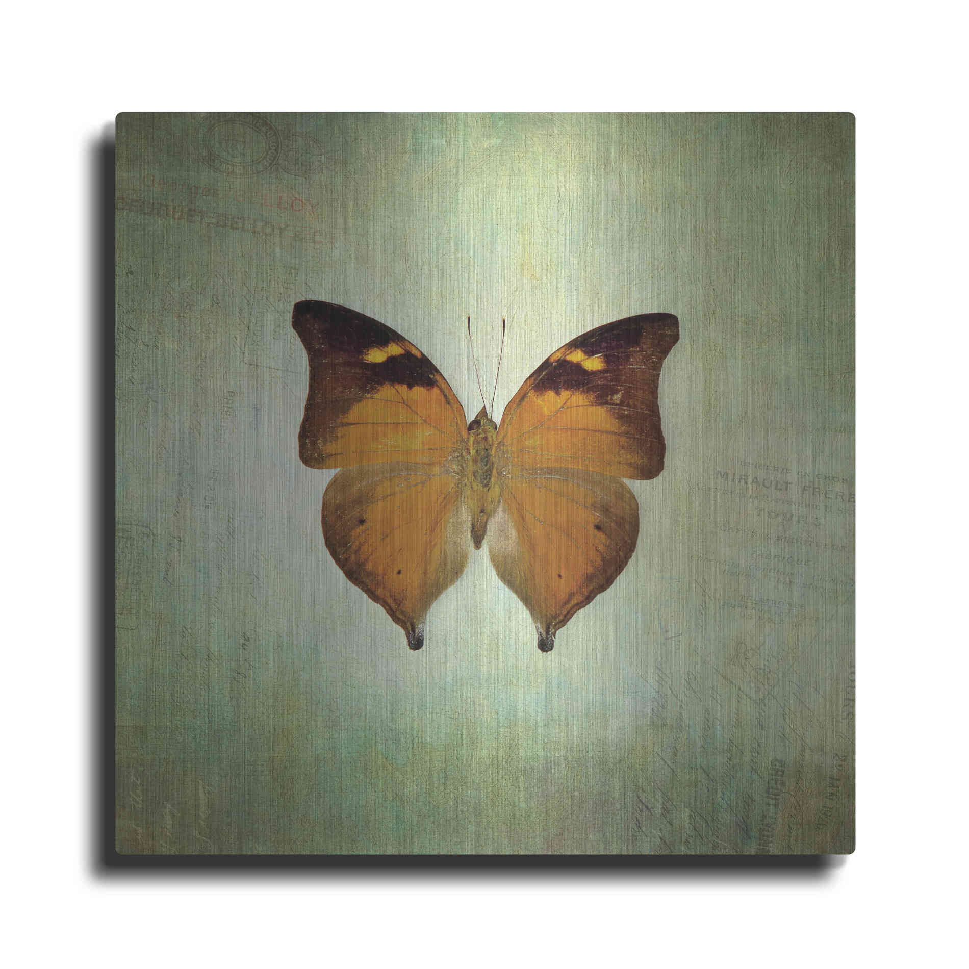 Luxe Metal Art 'French Butterfly VII' by Debra Van Swearingen, Metal Wall Art