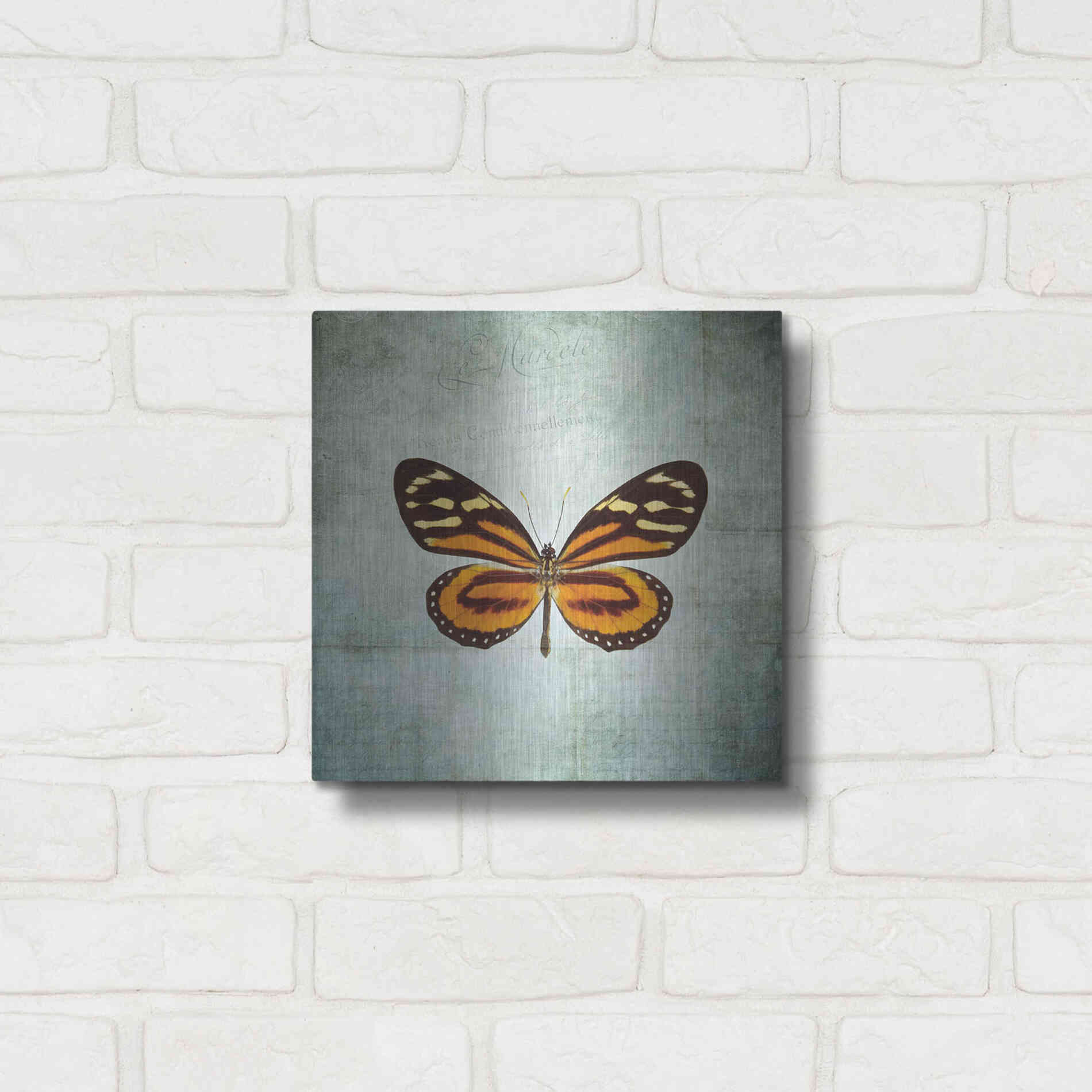 Luxe Metal Art 'French Butterfly VIII' by Debra Van Swearingen, Metal Wall Art,12x12