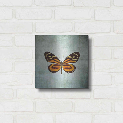 Luxe Metal Art 'French Butterfly VIII' by Debra Van Swearingen, Metal Wall Art,12x12