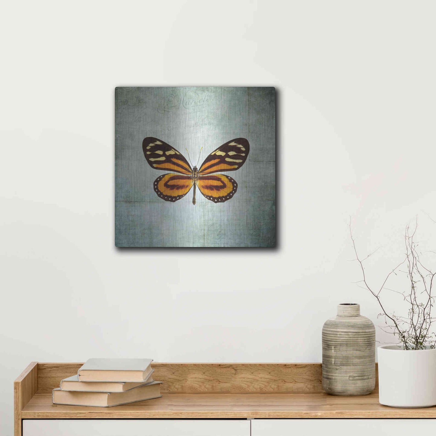 Luxe Metal Art 'French Butterfly VIII' by Debra Van Swearingen, Metal Wall Art,12x12