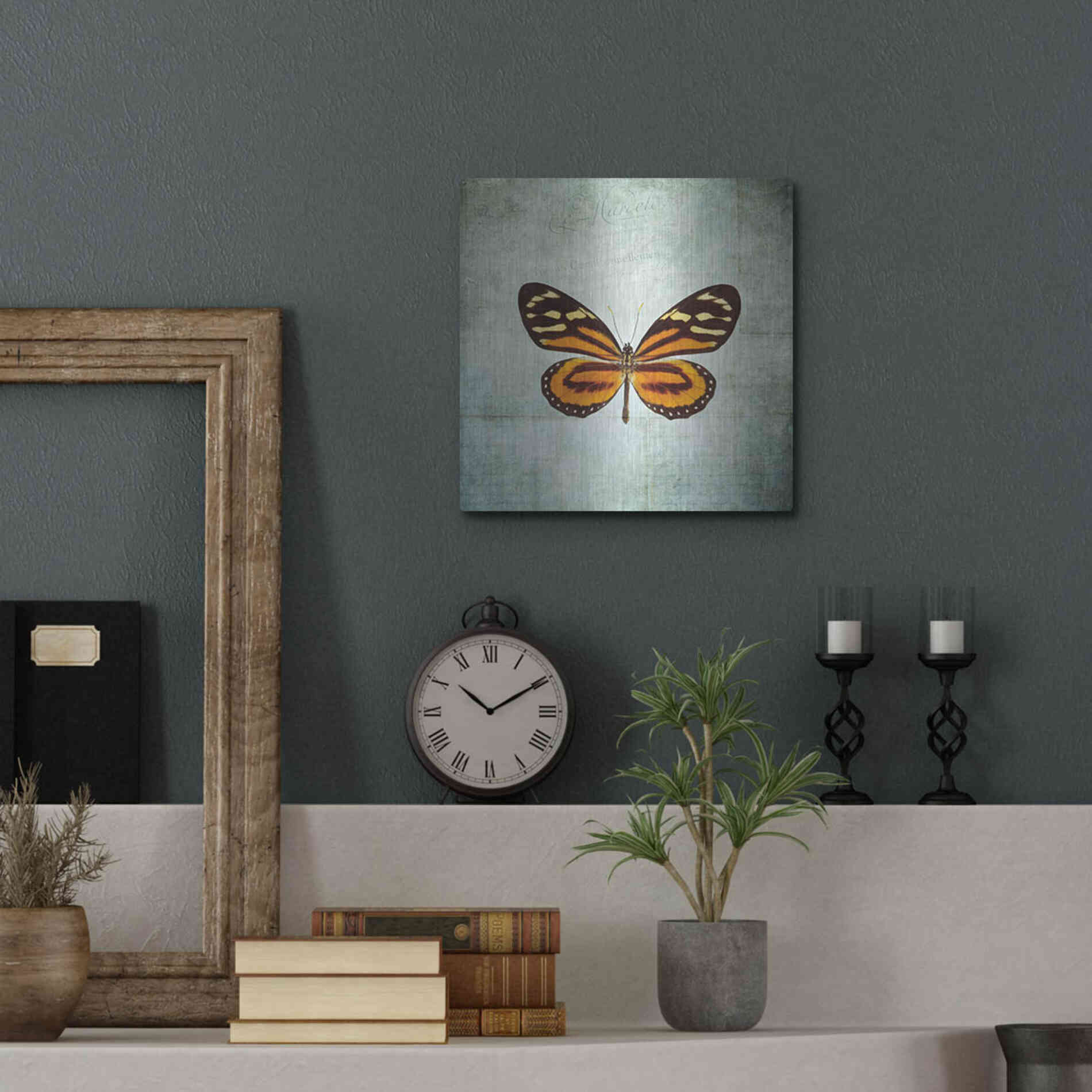 Luxe Metal Art 'French Butterfly VIII' by Debra Van Swearingen, Metal Wall Art,12x12