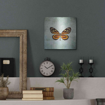 Luxe Metal Art 'French Butterfly VIII' by Debra Van Swearingen, Metal Wall Art,12x12