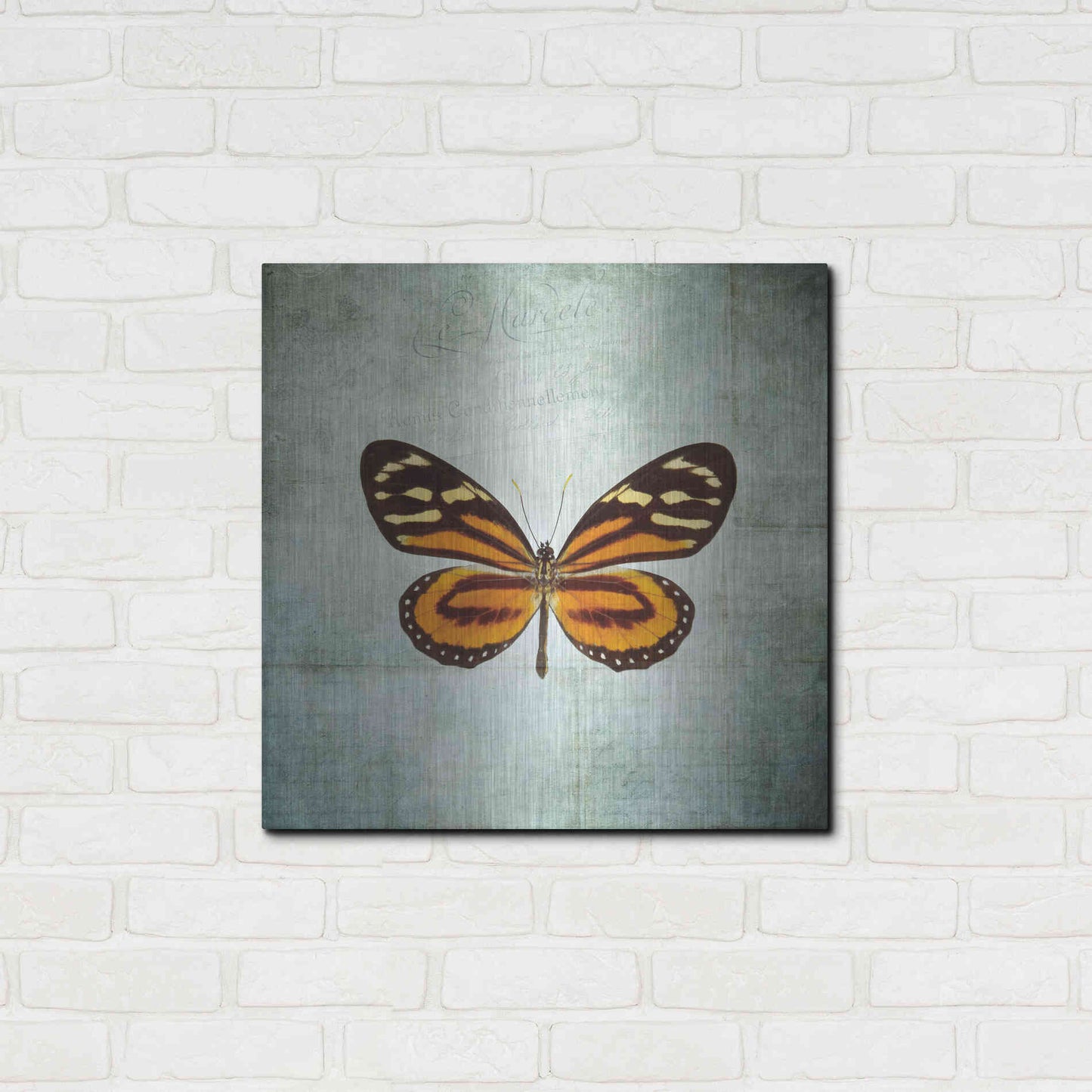 Luxe Metal Art 'French Butterfly VIII' by Debra Van Swearingen, Metal Wall Art,24x24