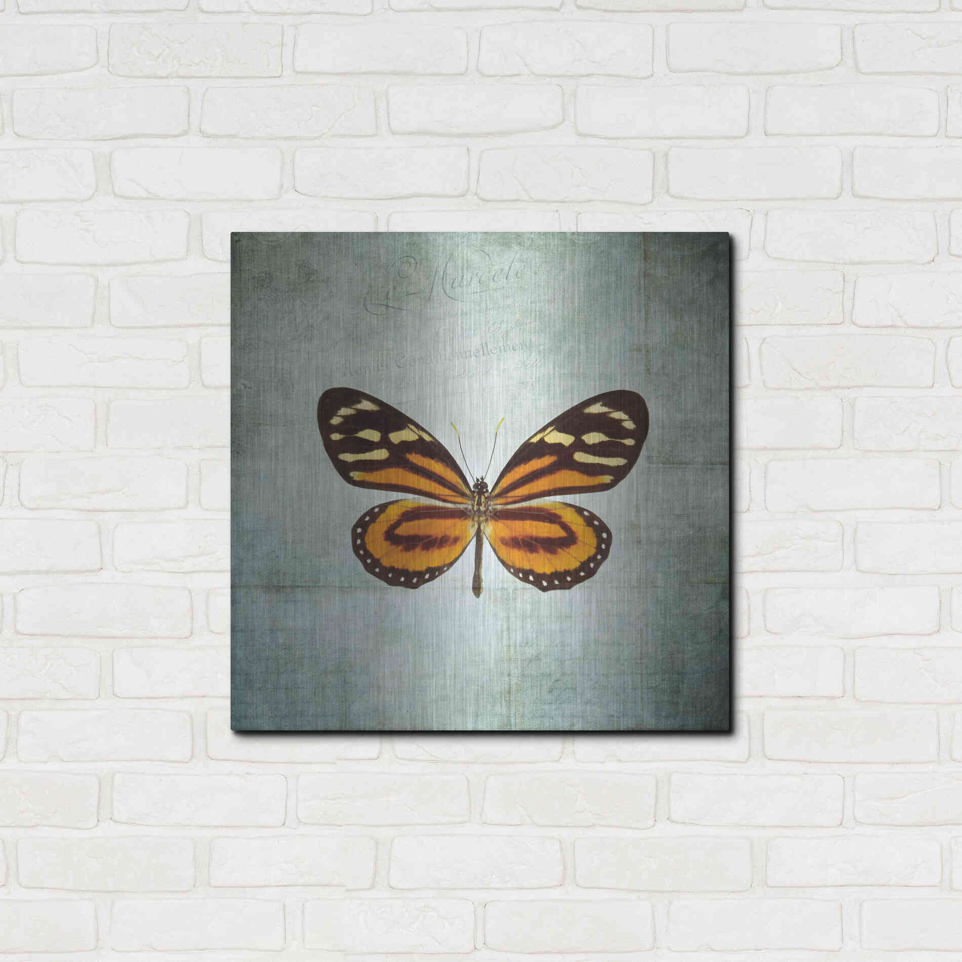 Luxe Metal Art 'French Butterfly VIII' by Debra Van Swearingen, Metal Wall Art,24x24