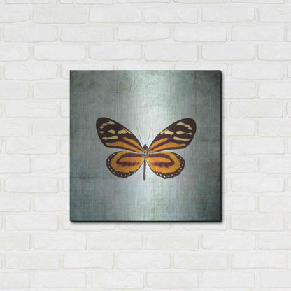 Luxe Metal Art 'French Butterfly VIII' by Debra Van Swearingen, Metal Wall Art,24x24