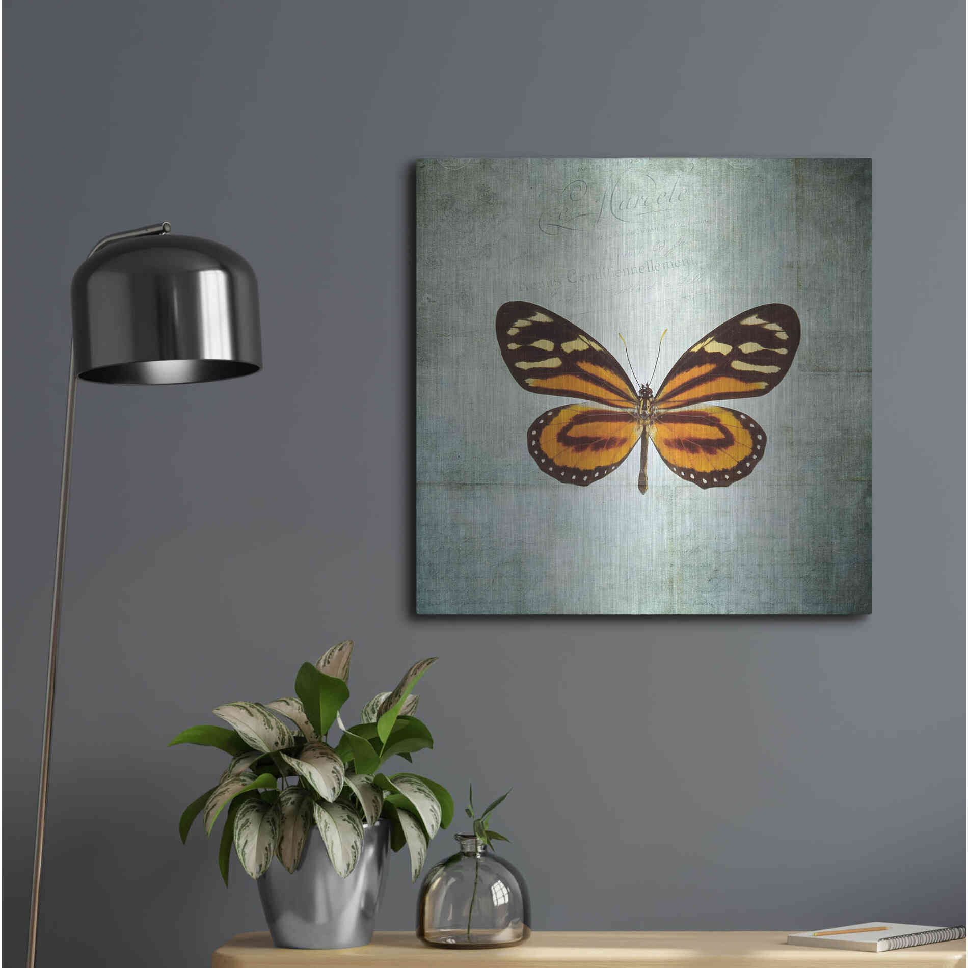 Luxe Metal Art 'French Butterfly VIII' by Debra Van Swearingen, Metal Wall Art,24x24