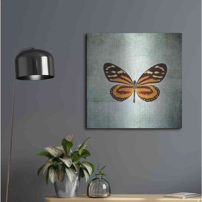 Luxe Metal Art 'French Butterfly VIII' by Debra Van Swearingen, Metal Wall Art,24x24