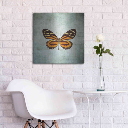 Luxe Metal Art 'French Butterfly VIII' by Debra Van Swearingen, Metal Wall Art,24x24